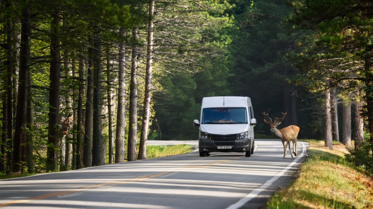 The Joy of Slow Travel: Savoring Every Moment on a Van Adventure.